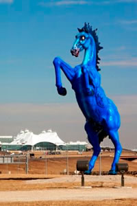 Denver Airport BlueBronco